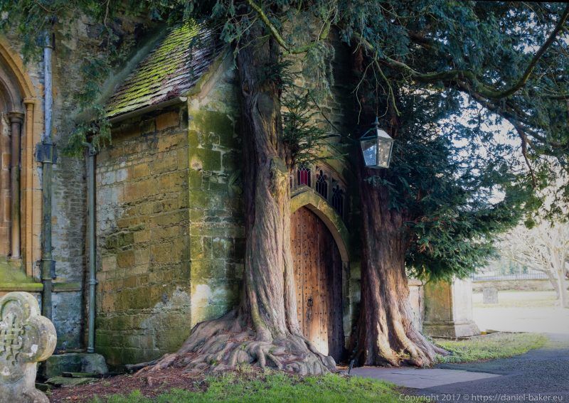 A door in a church wall with a tree either side which look like an archway growling out of the stone itself